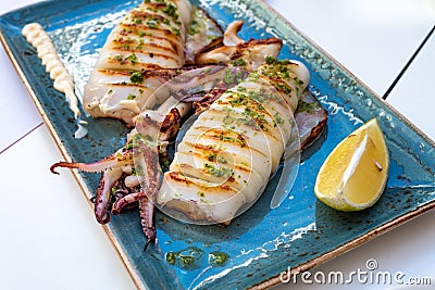 Delicious plate of grilled squid at gourmet restaurant Stock Photo