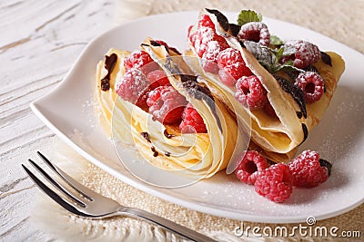 Delicious raspberry crepes close-up on a plate. Horizontal Stock Photo