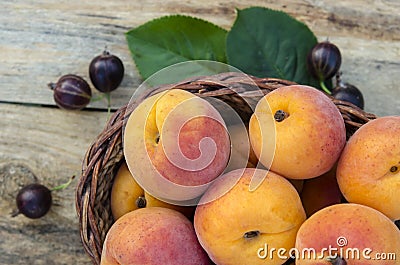 Delicious ripe apricots and berries on rustic background. Health Stock Photo