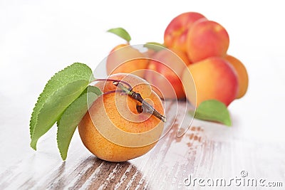 Delicious ripe apricots. Stock Photo