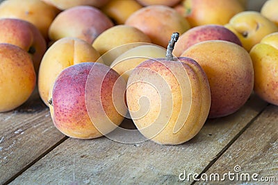 Delicious ripe apricots Stock Photo