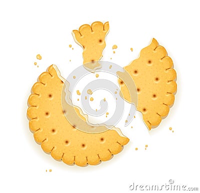 Delicious round biscuit. Vector Illustration