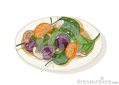 Delicious salad on plate isolated on white background. Tasty restaurant veggie starter meal made of fruits, nuts and Vector Illustration