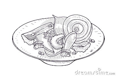 Delicious salad with vegetables and nuts on plate hand drawn with contour lines on white background. Dietary meal made Vector Illustration
