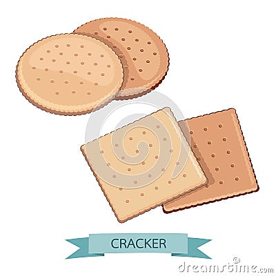 Delicious Salty Cookies Rustic. Cracker chocolate shape round and square healthy snack. Biscuit crispy delicious for breakfast. Vector Illustration