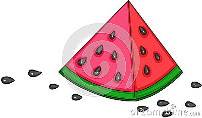 Delicious slice of watermelon with seeds Vector Illustration