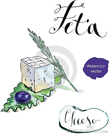 Delicious sliced Greek feta cheese with olive, rosemary and salad Vector Illustration