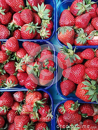 Ecologically Farmed Strawberries in Plastic Packages Stock Photo