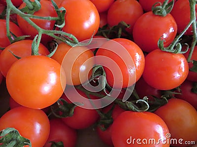 Delicious tomatoes with a good looks and incredible color Stock Photo