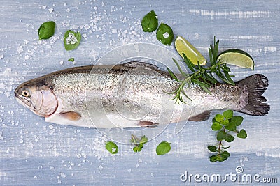 Delicious trout. Seafood. Stock Photo