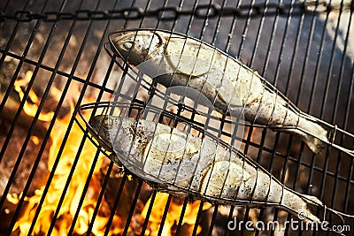 Delicious trout with spices roast on a grill over a fire Stock Photo