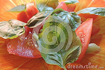 Delicious vitamin salad of tomatoes, celery and Basil Stock Photo