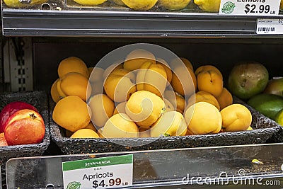 delicious yellow apricots in a black basket on a shelf at a market in Atlanta Georgia Editorial Stock Photo