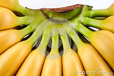 Delicious yellow bananas. Ripe bananas Stock Photo