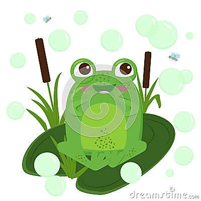 Surprised green frog sitting on a water lily leaf in the reeds Vector Illustration