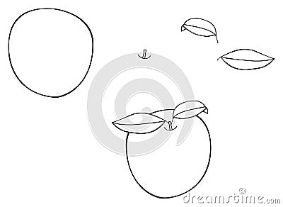 Delightful garden - Round apple with two leaves Stock Photo