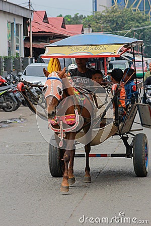 This delman is an Indonesian public transportation designation, horse-drawn horse Editorial Stock Photo
