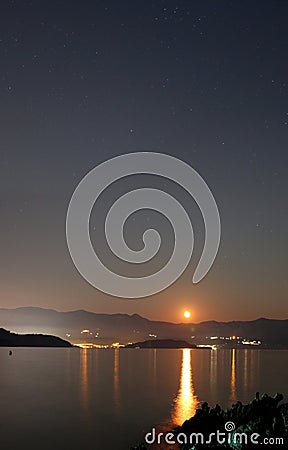 Delphine jumps over the rising Moon Stock Photo