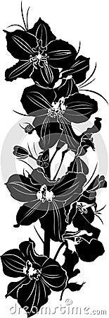 Delphinium Vector Illustration