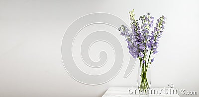 Delphinium Flower, lilac, purple flower in a vase, horizontal, side view, background Stock Photo