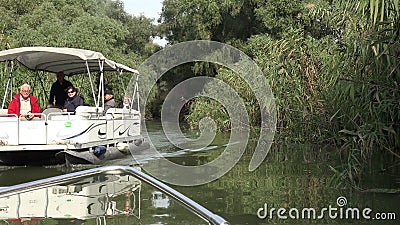 DELTA DE DANUBIO, RUMANIA SEPTIEMBRE DE 2015 Turistas en un barco que sale de un área salvaje del río 4K almacen de video DELTA DE DANUBIO, RUMANIA SEPTIEMBRE DE 2015 Turistas en un barco que sale de un área salvaje del río 4K almacen de video