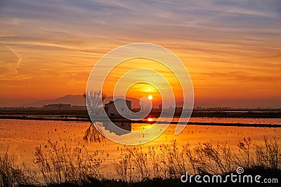 Delta del Ebro Ebre sunset in Deltebre Stock Photo