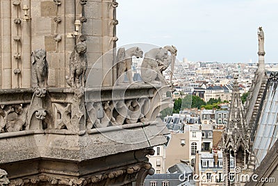 Demon, Dog, Heron and grotesque Gargoyles of Notre Dame Stock Photo