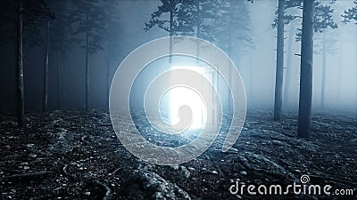 Den glödande dörren i dimmanattskog tänder portalen Mistic och magiskt begrepp Realistisk animering 4K vektor illustrationer Den glödande dörren i dimmanattskog tänder portalen Mistic och magiskt begrepp Realistisk animering 4K vektor illustrationer