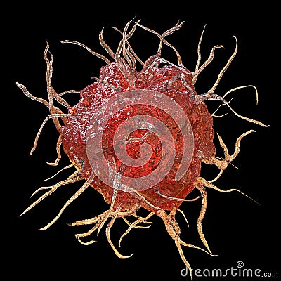 Dendritic cell, antigen-presenting immune cell Cartoon Illustration