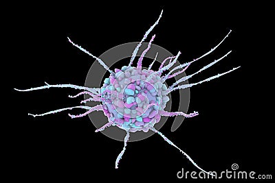 Dendritic cell, antigen-presenting immune cell Cartoon Illustration