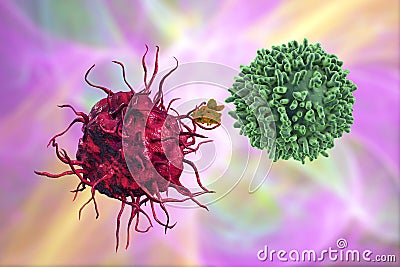 Dendritic cell presenting antigen to T-cell Cartoon Illustration