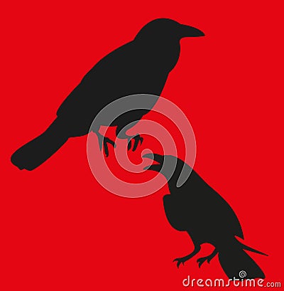 Raven, corbie Vector Illustration