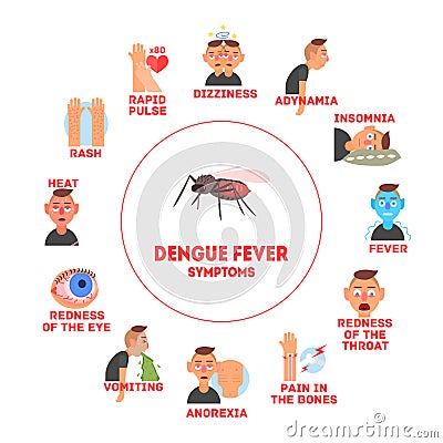 Dengue Fever Symptoms Information Banner Template Vector Illustration Vector Illustration