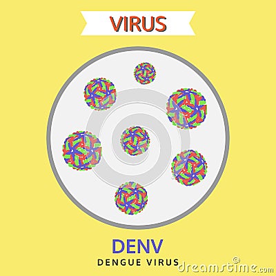 Dengue virus, denv virus, vector Vector Illustration