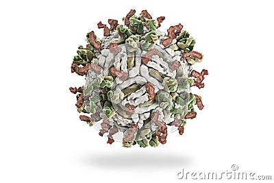 Dengue virus. Stock Photo