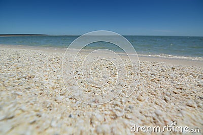 Shell Beach. Denham. Shark Bay. Western Australia Stock Photo