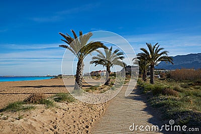 Denia Las Marinas beach palm trees in Spain Stock Photo
