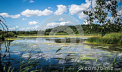 Marsh lake landscape Stock Photo