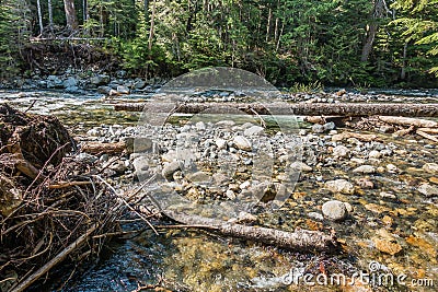 Denny Creek Rocks And Logs Stock Photo