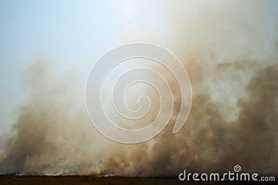 Dense smoke rising from a fire Stock Photo