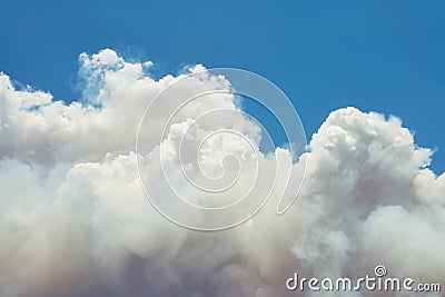 Dense white smoke rising from the raging wildfire Stock Photo