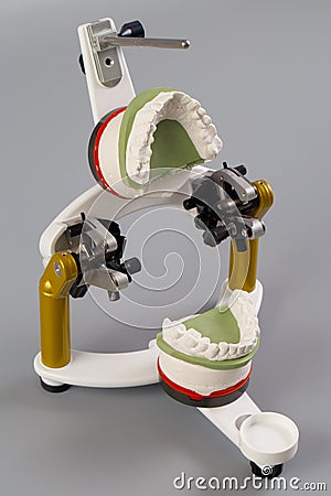 Dental articulator with artificial denture on a gray background Stock Photo