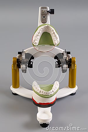 Dental articulator with artificial denture on a gray background Stock Photo