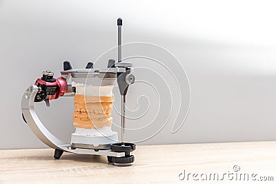 dental articulator with dental gypsum prosthesis model in dental laboratory Stock Photo