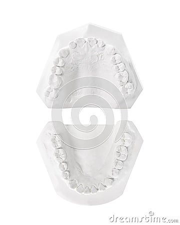 Dental gypsum model of teeth isolated on white background. Template of teeth made from plaster. Clipping paths object Stock Photo