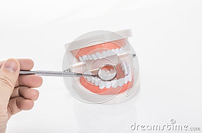 Dental models and dental instruments Stock Photo