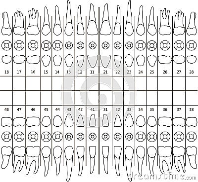 Dental note Vector Illustration