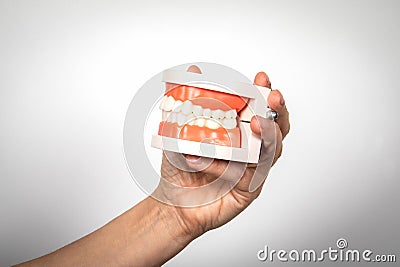 Dental pattern in hand on white backgound. Free space for text Stock Photo