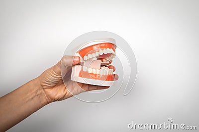 Dental pattern in hand on white backgound. Illustartion for tooth health. Free space for text Stock Photo