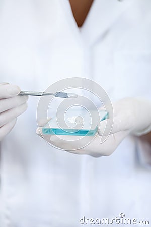 Dental powder for fillings Stock Photo